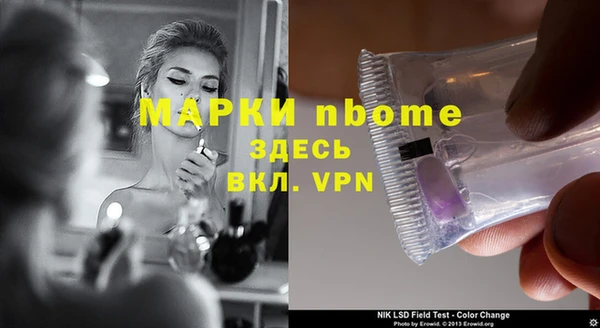 стафф Арсеньев