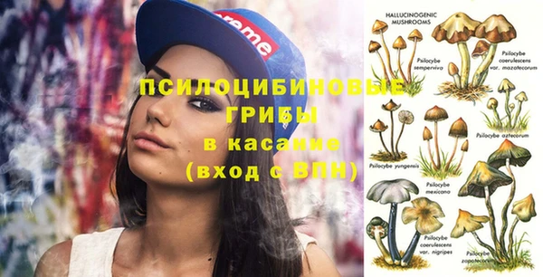 ГАЛЛЮЦИНОГЕННЫЕ ГРИБЫ Армянск
